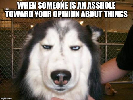 When Someone is An Asshole toward Your Opinion
