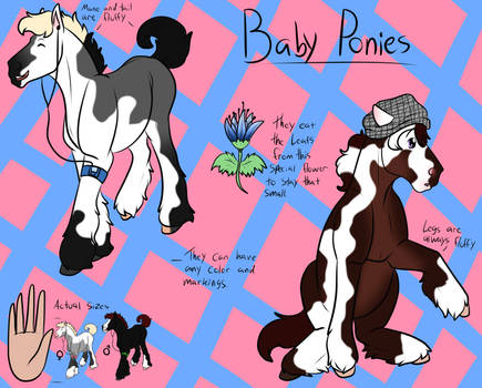 .:Baby Ponies:.