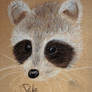 Raccoon