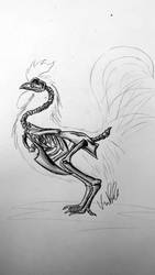 Skeletal Rooster