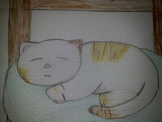 Sleeping Cat