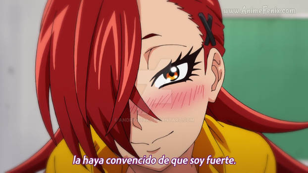 Anime (81)