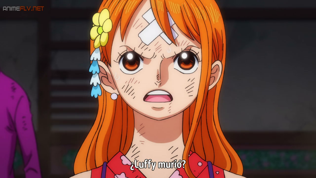 Nami adorable - One Piece episode 776 by Berg-anime on DeviantArt