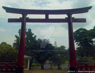 Torii