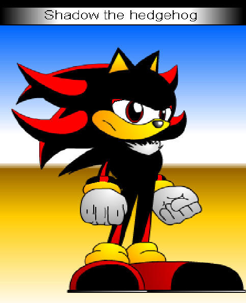 Shadow the hedgehog by Shadow-and-AmyRose on DeviantArt