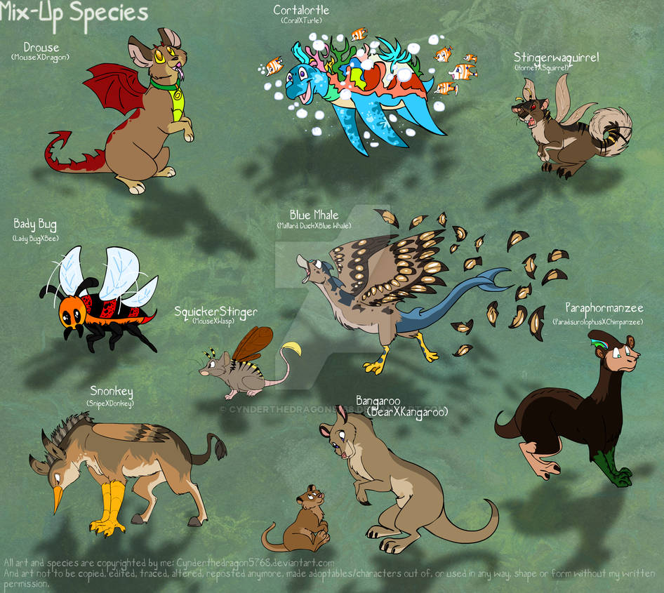Species Mix up 1# by Cynderthedragon5768 on DeviantArt