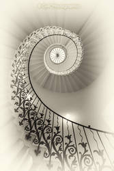 The Spiraling Tulip Staircase