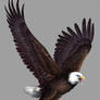 .:Eagle:.