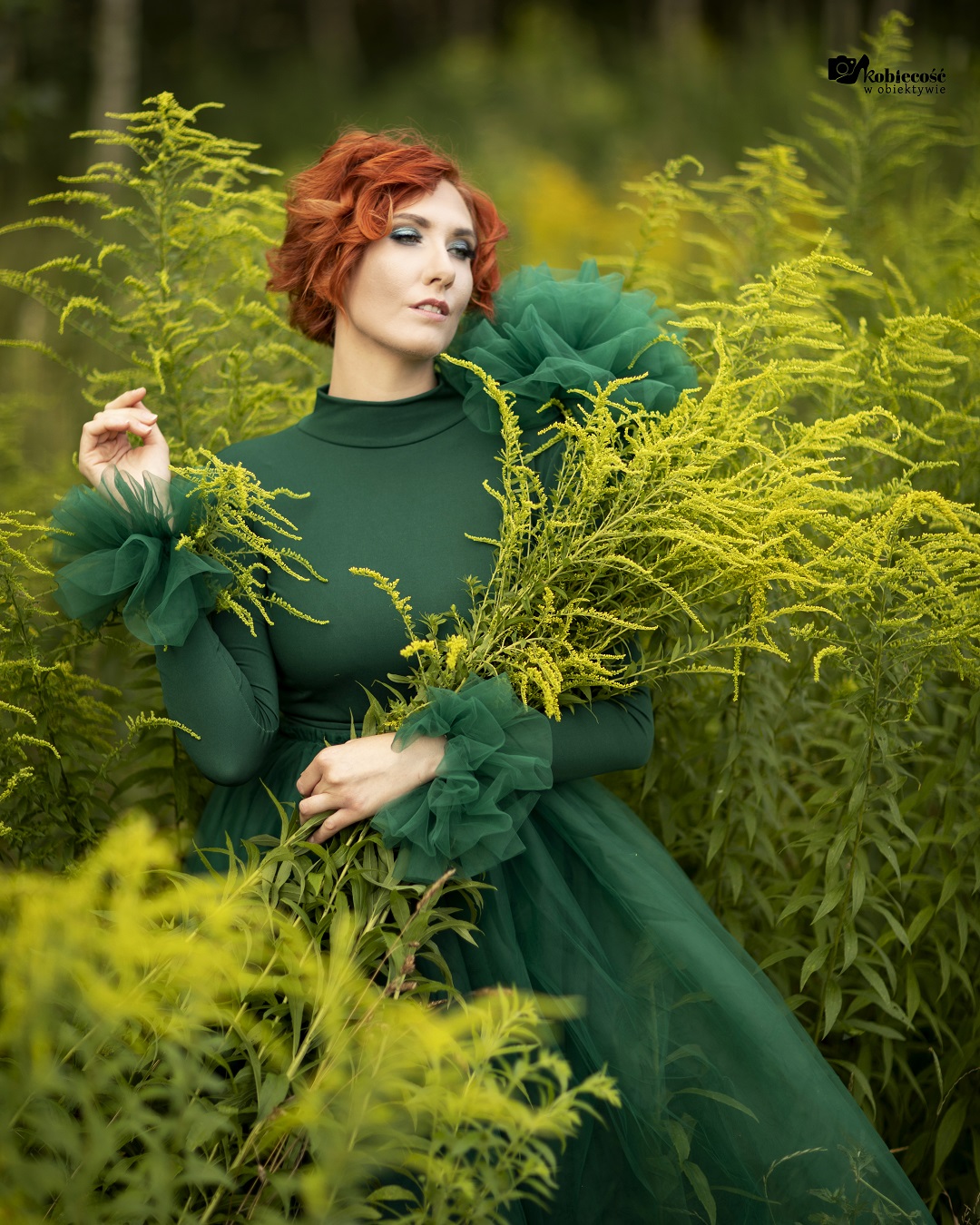 Goldenrod lady