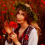 Poppies