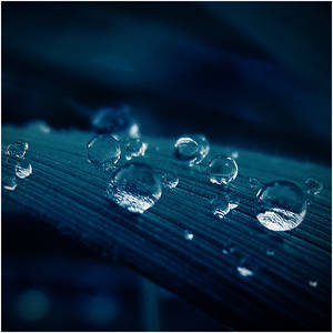 Winter Blue Drops