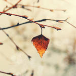 Alone in Winter by CasheeFoo