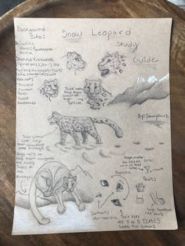 Snow Leopard Study Guide