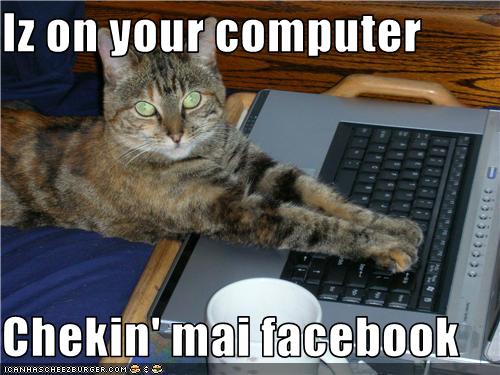 Lol Cat Computer