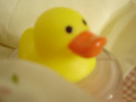 Mr Quack