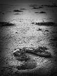 Still Waiting by Juleitte