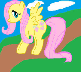 fluttershy