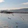 Canakkale Seaside