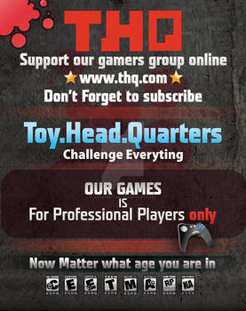 THQ-Flyer