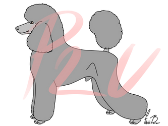 Free Poodle Line-Art by DailyAdoptables on DeviantArt