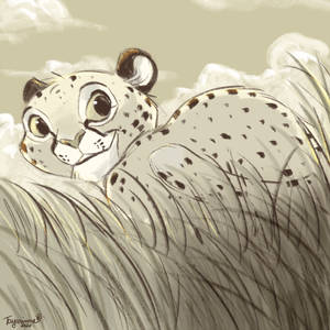 Lil cheetah