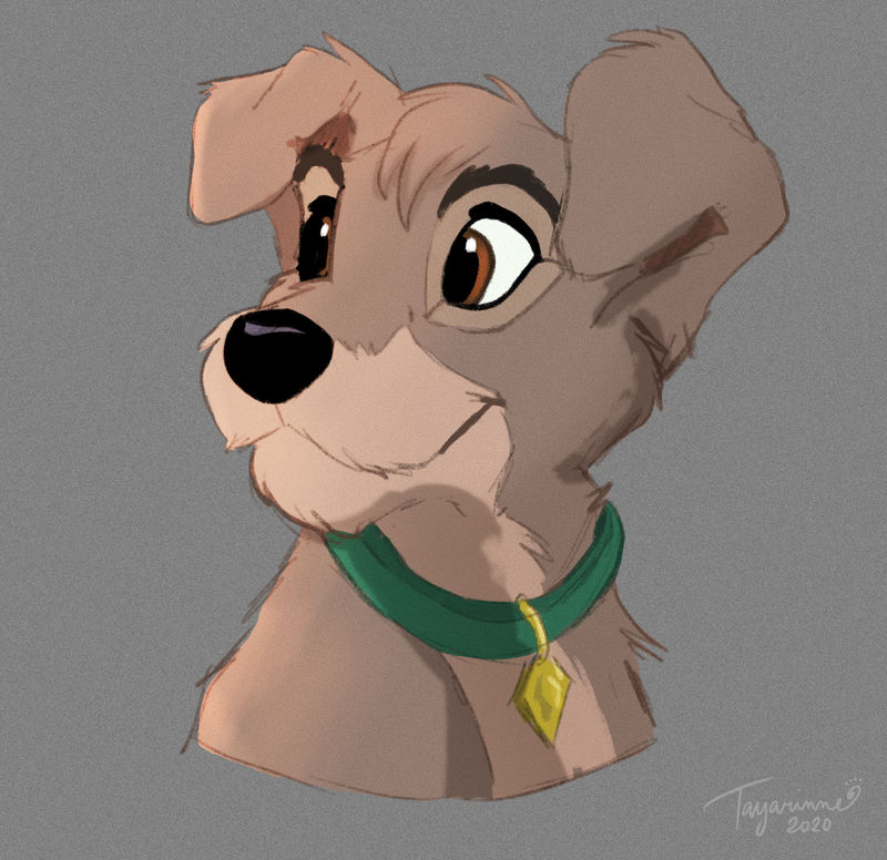 Scamp by Tayarinne on DeviantArt