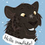 Hello snowflake