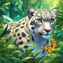Snow leopard in a jungle