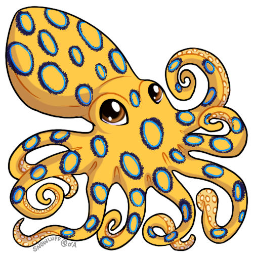 Blue Ringed Octopus Animation Blue Ringed Octopus by Snowluff on DeviantArt