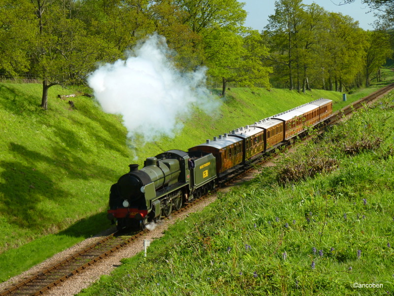 The Bluebell Railway