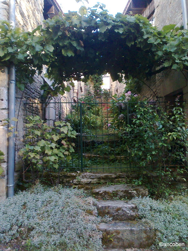 A view through the gate Arcais France