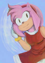 Practice: Amy Rose