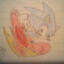 Sonic the hedgehog