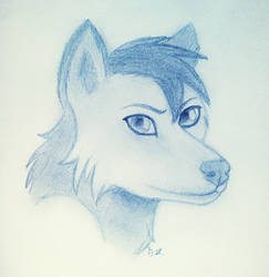 Random wolf~