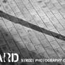 The Yard Street club ID