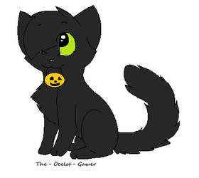 Halloween Cat