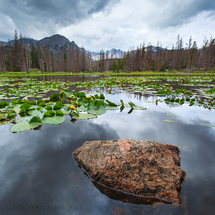 Kettle Ponds