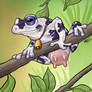 Holstein Frog