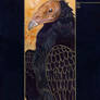 Klimt's Vulture