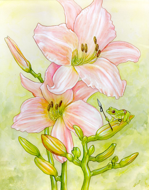 Frog and Lilies