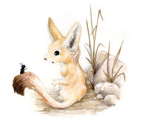 The Fennec and the Ant