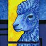 Blue Sheep