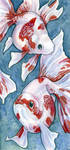 Two Ryukins by ursulav