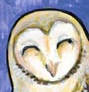 Teeny Happy Barn Owl