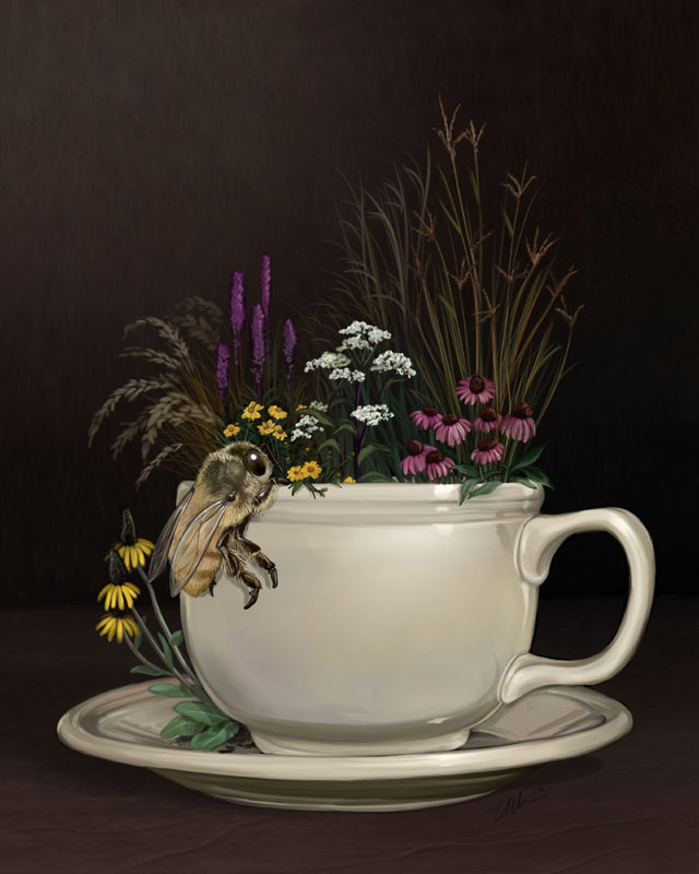 Prairie In A Teacup
