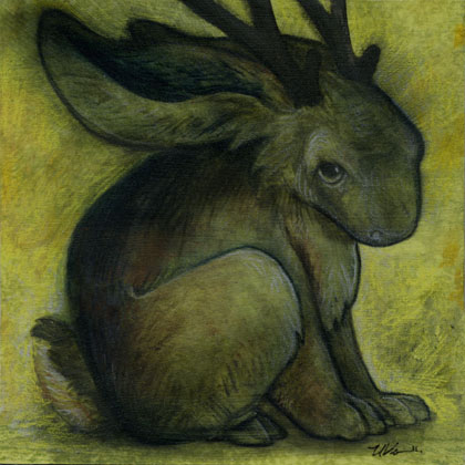 Black Jackalope