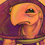 Judgmental Turtle