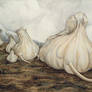 Mammoth Garlic