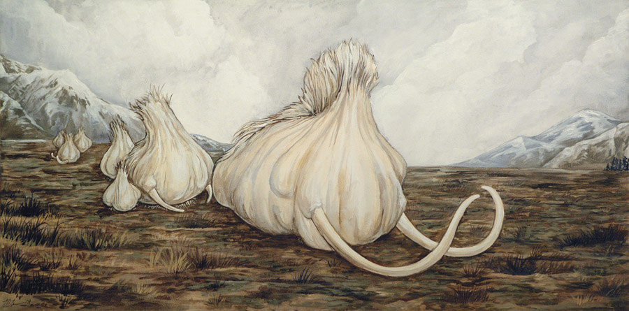 Mammoth Garlic