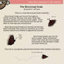 The Mourning Cloak